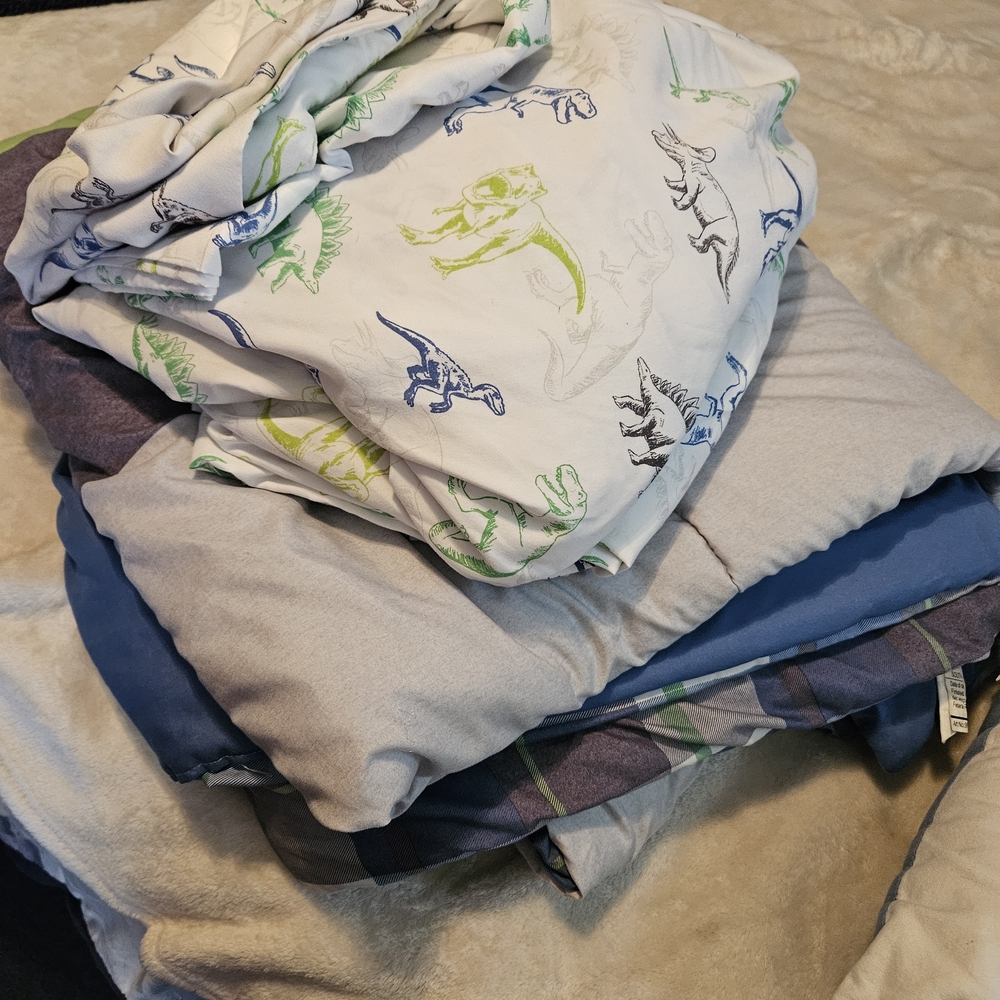 Sonoma Dinosaur Full Bedding Set 8 piece set blue multicolor